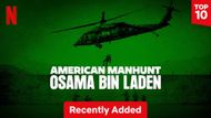 American Manhunt: Osama bin Laden (Image via Netflix)